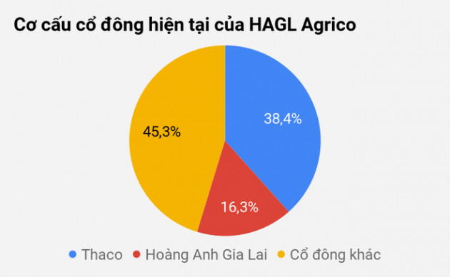 Các ngân hàng vẫn 'đau đầu' với HAGL Agrico