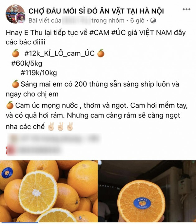 Cam Úc giá siêu rẻ bán dọc vỉa hè, tiểu thương tiết lộ sự thật