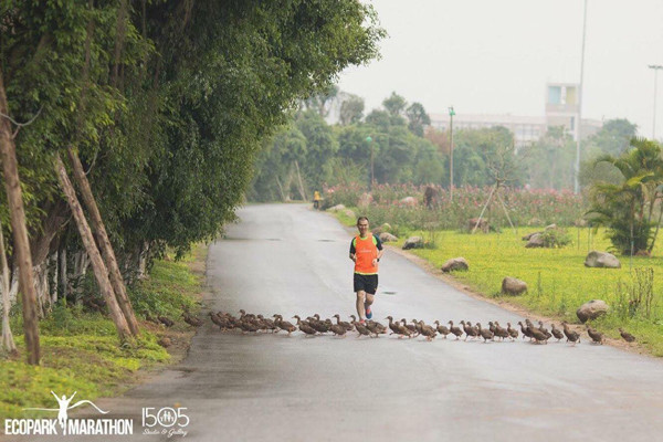 Cảnh sắc tuyệt đẹp trong công viên sinh thái lớn bậc nhất phía Đông Hà Nội