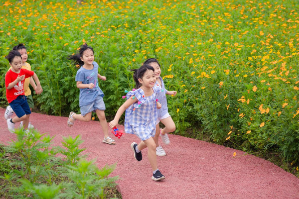 Cảnh sắc tuyệt đẹp trong công viên sinh thái lớn bậc nhất phía Đông Hà Nội