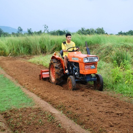 Chàng trai đi Nhật về dùng ớt, tỏi, rau răm… chế thuốc trị bệnh cho rauicon