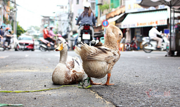 Chàng trai tạo ra con khủng long sắt bán giá trăm triệu