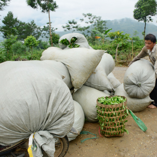 Chè đặc sản, nơi này bán như cho