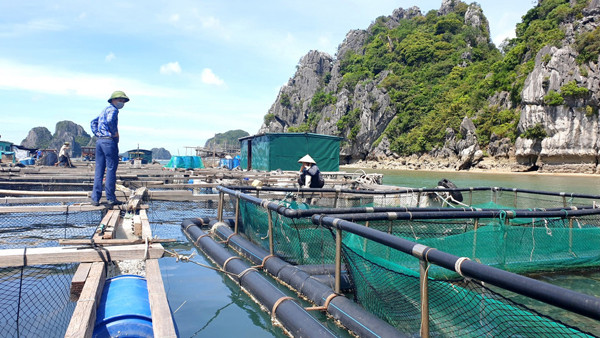 ‘Chìa khoá’ phát triển kinh tế biển ở Quảng Ninh: nhanh nhưng phải bền