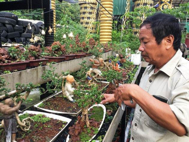 Chiem nguong 2 vuon bonsai doc dao xac lap ky luc o Viet Nam-Hinh-6