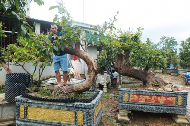 Chiêm ngưỡng 'kho báu triệu USD' từ núi rừng Yên Tử