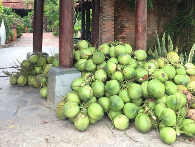 Chiêm ngưỡng ngôi nhà cổ tuyệt đẹp, rộng thẳng cánh cò bay ở Long An - 9