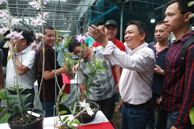 Chiêm ngưỡng những giỏ hoa lan đột biến hiếm có giá hàng trăm triệu - 2