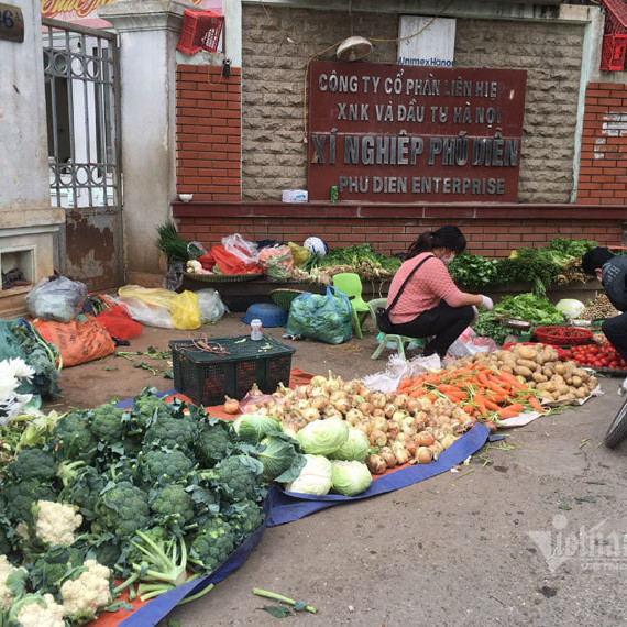 Chợ 27 Tết: Giá rau xanh giảm một nửa, đổ đống không một khách muaicon