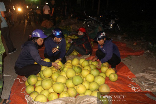 'Chợ' đặc biệt chỉ bán duy nhất một thứ quả, toả mùi thơm ai cũng muốn ănicon