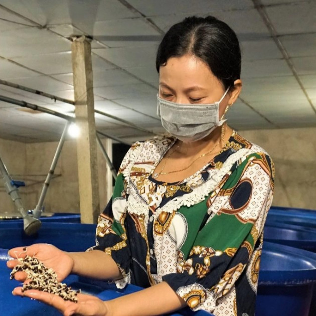 Cho giá đậu 'nằm bồn, ngủ máy lạnh' nữ nông dân kiếm 300 triệu đồng mỗi nămicon