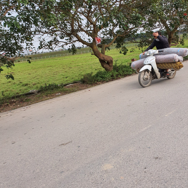 Chợ Ninh Hiệp vắng vẻ, tiểu thương ngồi chơi cả ngày vì không có hàng - 4