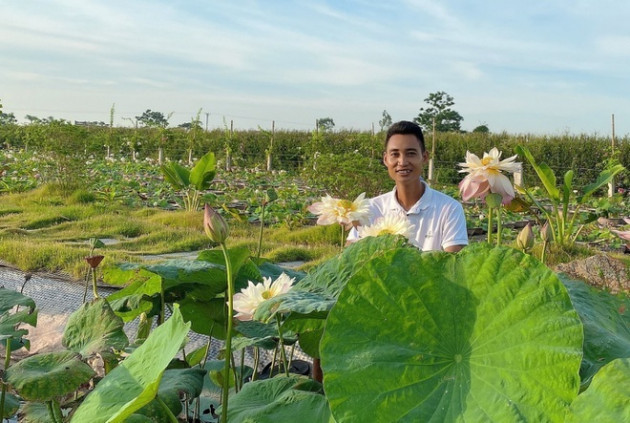 Choáng ngợp đầm sen cạn hơn 10.000 chậu của chàng trai quê lúa