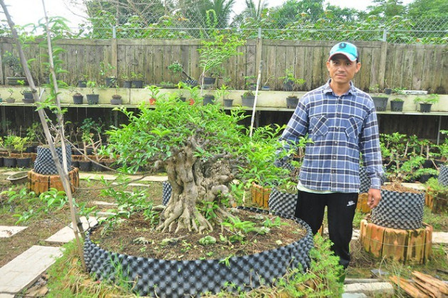 'Choáng ngợp' vườn bonsai 'khủng' ở Đồng Tháp