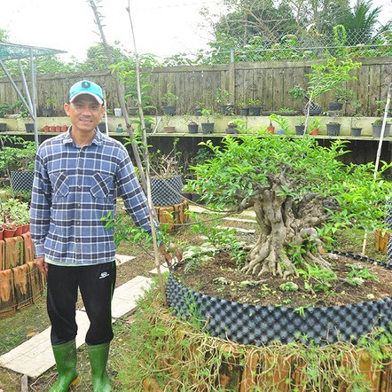 'Choáng ngợp' vườn bonsai 'khủng' ở Đồng Thápicon