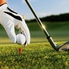 Chơi golf giữa đại dịch, đình chỉ công tác Phó Cục trưởng Cục thuế Bình Địnhicon