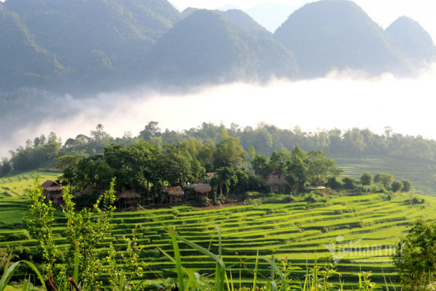 Chớm thu, kéo nhau đi ngắm ruộng bậc thang mùa lúa chín