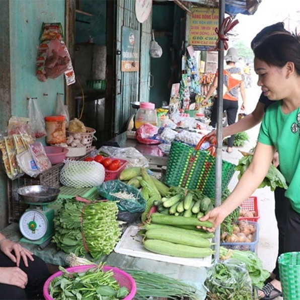 Chọn ‘chiếc túi xanh’, hạn chế thói quen dùng bao bì nhựa khó phân hủy