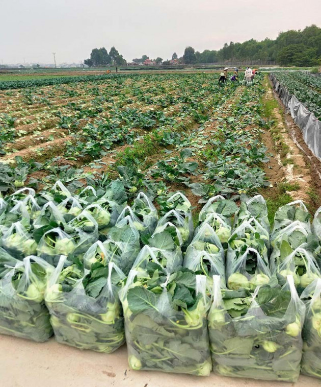 Chống dịch quyết liệt nhưng đừng cô lập Hải Dương thành ốc đảo