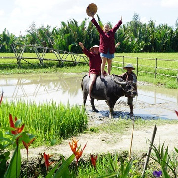 Chuyện lạ đầu năm: Trâu xịt nước hoa, chim đi siêu xe