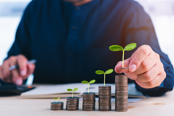Cơ hội nào cho những nhà đầu tư mới?