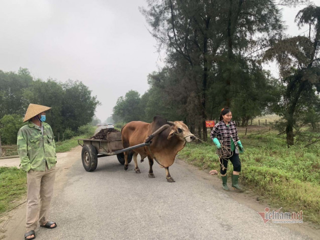 'Cò' vây, lùng đất xuyên ngày đêm, dân đóng cửa vì mệt mỏi