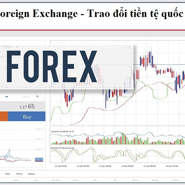 Công an Hà Nội cảnh báo rủi ro pháp lý từ Forexicon