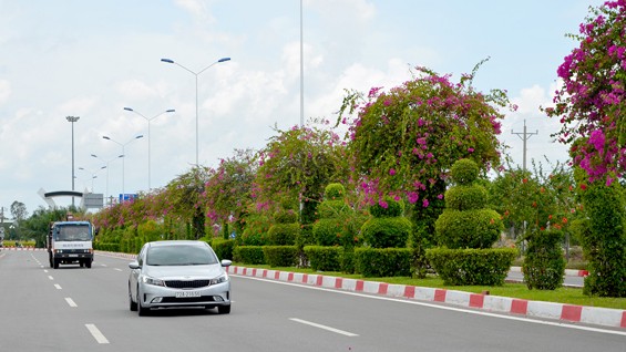 Quy hoạch,điều chỉnh quy hoạch,TP.Hồ Chí Minh,Viện Quy hoạch xây dựng miền Nam