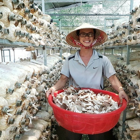 Công ty doanh thu 2 tỷ/tháng sụp đổ, chàng trai quay về quê làm giàuicon