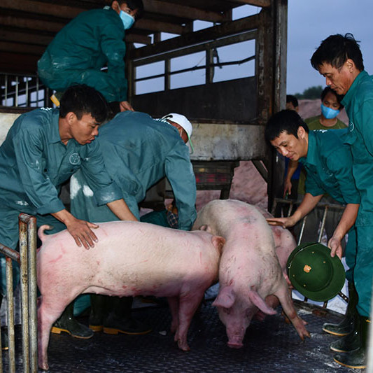 Cú chốt ngày cuối năm, lão nông thương binh thu ngay 20 tỷ đồngicon