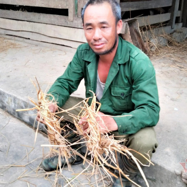 Cưa sừng, hứng máu: Nghề hiếm, kiếm bộn tiền ở Hà Tĩnh