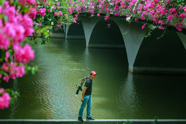 ‘Cực phẩm’ cầu hoa giấy đẹp như tiên cảnh ở Ecopark