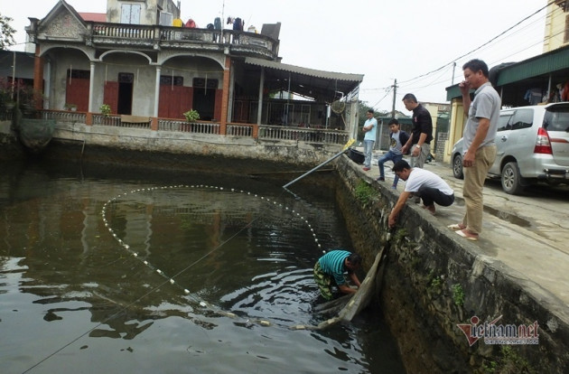 Cúng ông Công, ông Táo: Cá chép đỏ đắt gấp đôi, vét ao thu trăm triệu