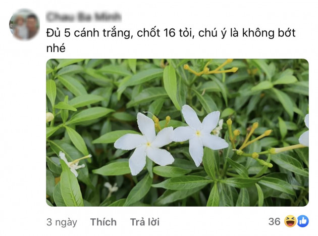 Cười bò khi dân mạng đua nhau chế ảnh giao dịch lan đột biến tiền tỷ - 4