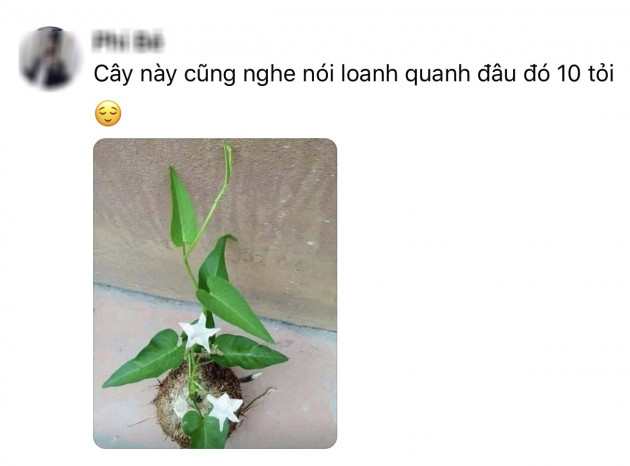 Cười bò khi dân mạng đua nhau chế ảnh giao dịch lan đột biến tiền tỷ - 6