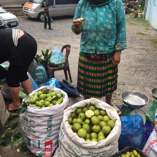 Đặc sản Hà Giang mát lịm, ngọt như đường đánh dạt hàng Trung Quốcicon