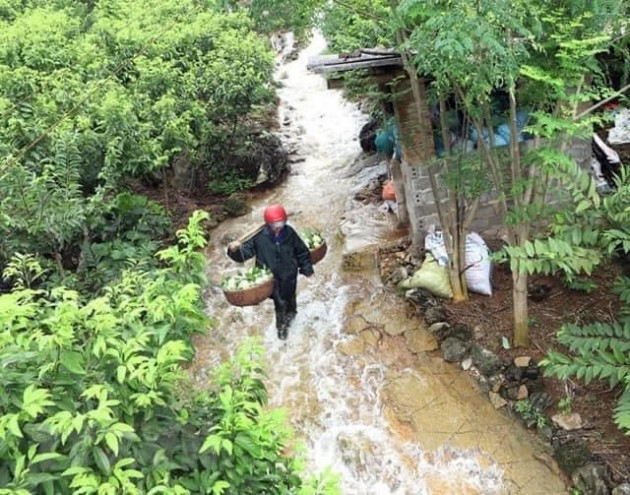 Đặc sản núi đá Xứ Lạng về Hà Nội, giá đắt gấp đôi vẫn đắt hàng