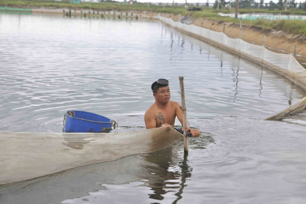 Đặc sản ốc hương ế ẩm, giá giảm quá nửa, rẻ chưa từng có