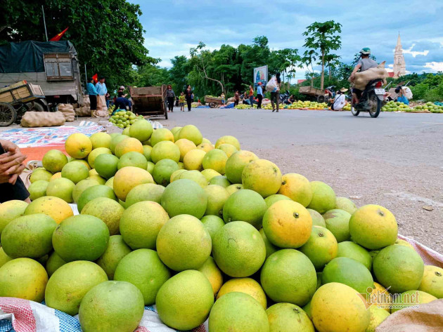 Đặc sản rớt giá, rẻ nhất 20 năm qua, dân soi đèn đi chợ thâu đêm