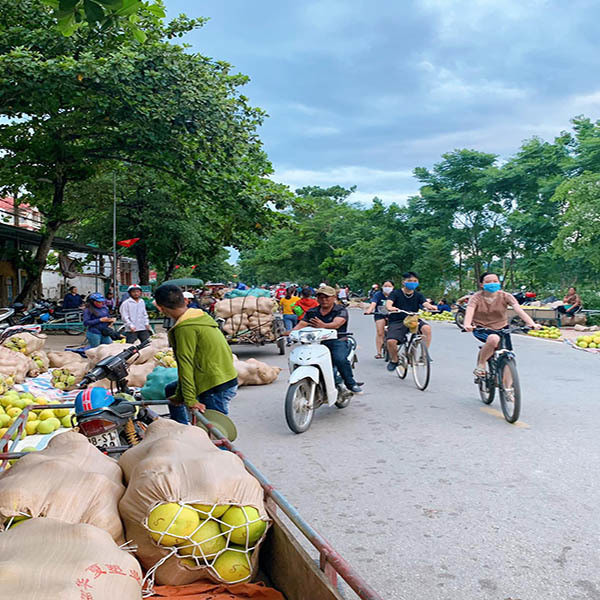 Đặc sản rớt giá, rẻ nhất 20 năm qua, dân soi đèn đi chợ thâu đêm