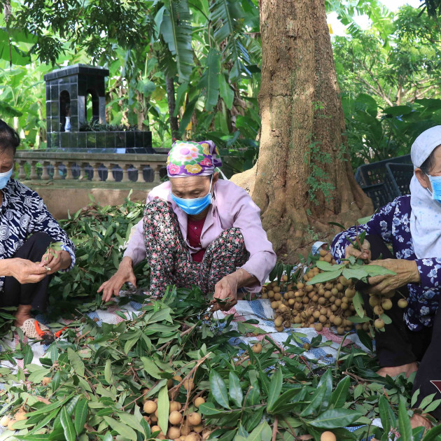 'Đặc sản tiến vua': Đi Tây không đủ chất, xuất Mỹ 1 lần rồi tạm dừngicon