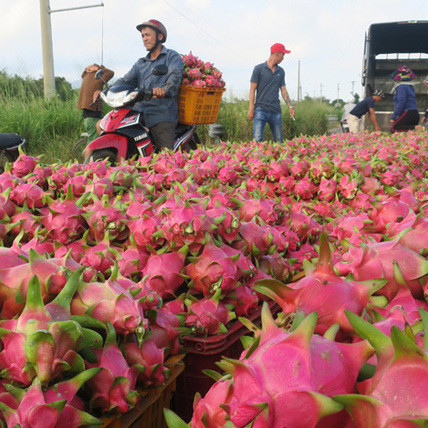 Đặc sản Việt ra mắt chợ mới và cú gây sốt toàn cầu