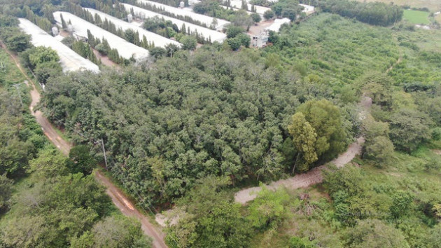 Đại gia chơi lớn, bỏ 30 tỷ đồng mua đất sân bay Long Thành làm nhà vườn