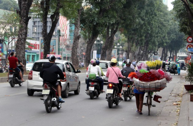 mưu sinh,nghề kiếm sống,bán hoa,lập nghiệp