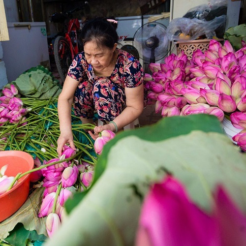 Đại gia Hà Nội tìm mua 'đệ nhất trà' đắt nhất Việt Nam giá 10 triệu đồng/kg