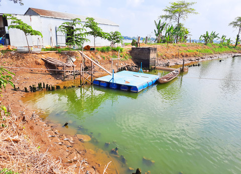 Đại gia thủy sản trốn đi nước ngoài: Nông dân đón Tết trong nợ nần