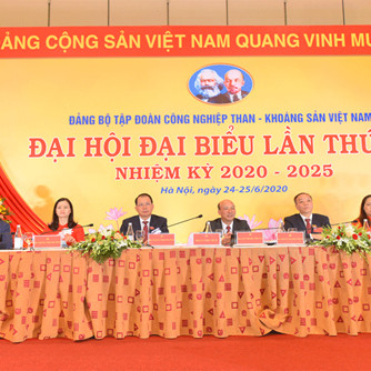 Đại hội Đảng bộ Than - Khoáng sản Việt Nam lần thứ III