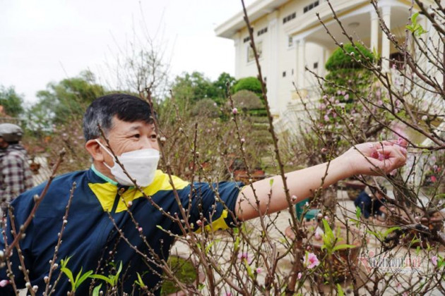 Dầm trong mưa phùn ngóng khách, một cái Tết buồn đang đến