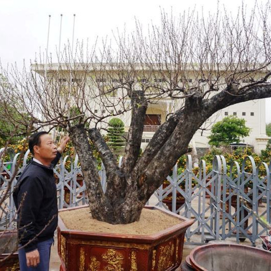 Dầm trong mưa phùn ngóng khách, một cái Tết buồn đang đếnicon