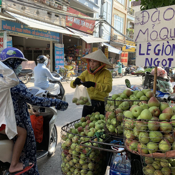 Dân buôn tiết lộ sự thật về đào mỏ quạ đang bán tràn chợ